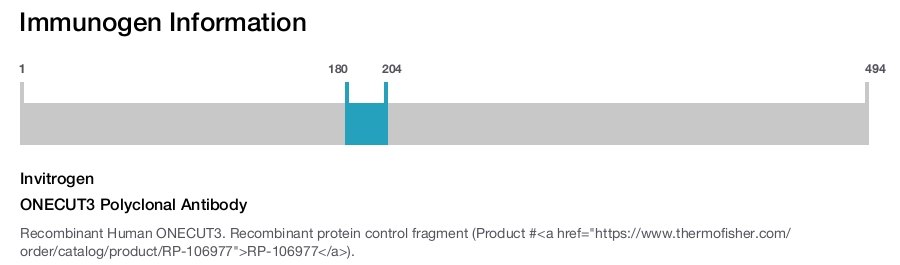 ONECUT3 Polyclonal Antibody