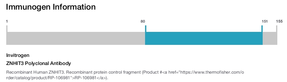 ZNHIT3 Polyclonal Antibody