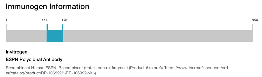 ESPN Polyclonal Antibody