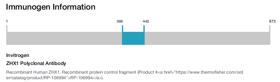 ZHX1 Polyclonal Antibody