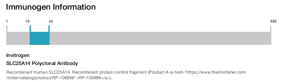 SLC25A14 Polyclonal Antibody