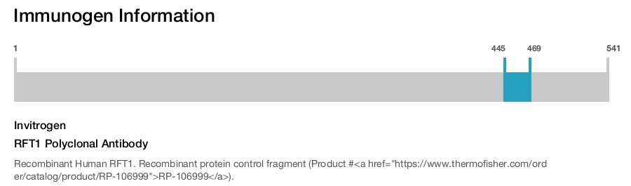 RFT1 Polyclonal Antibody