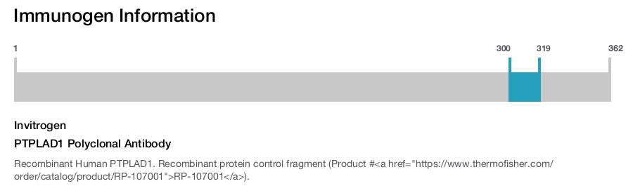 PTPLAD1 Polyclonal Antibody