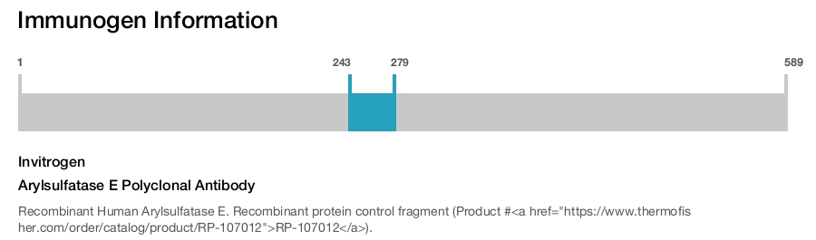 Arylsulfatase E Polyclonal Antibody