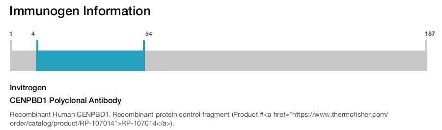 CENPBD1 Polyclonal Antibody