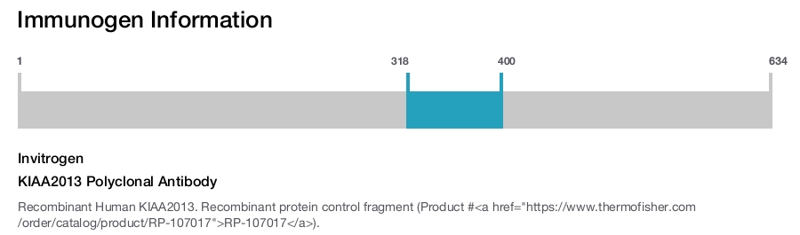 KIAA2013 Polyclonal Antibody