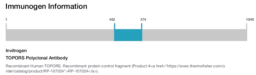 TOPORS Polyclonal Antibody