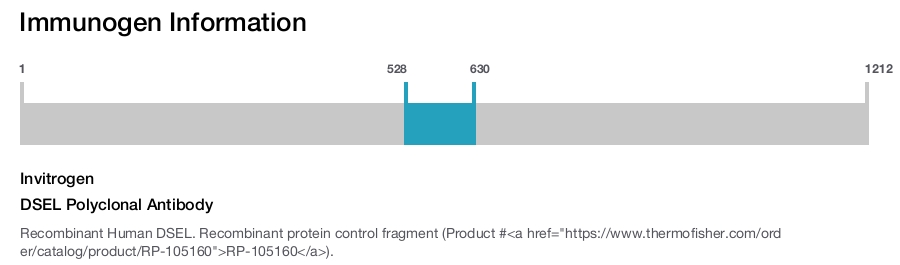 DSEL Polyclonal Antibody