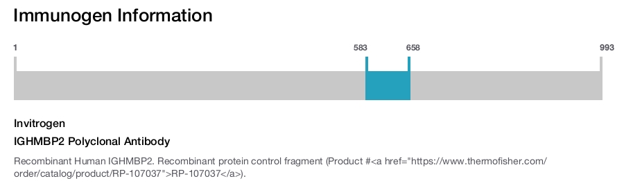 IGHMBP2 Polyclonal Antibody