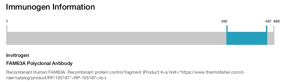 FAM63A Polyclonal Antibody