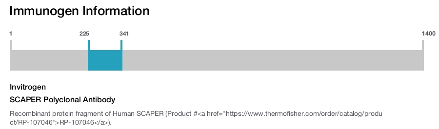 SCAPER Polyclonal Antibody