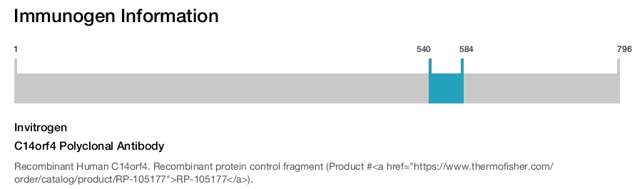 C14orf4 Polyclonal Antibody