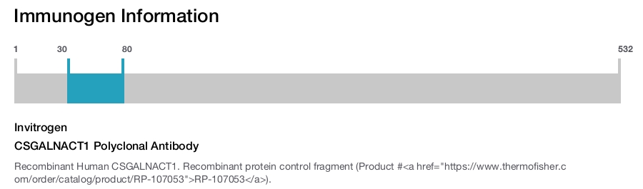 CSGALNACT1 Polyclonal Antibody