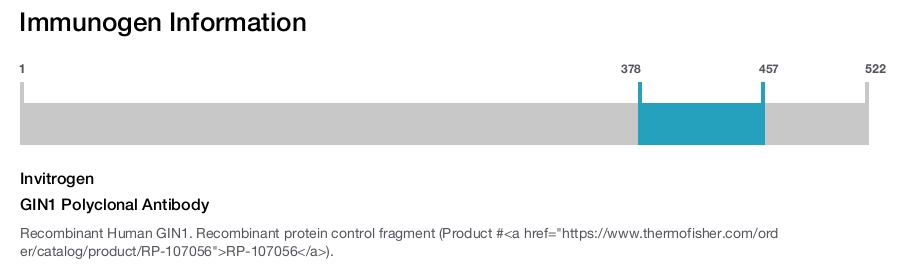 GIN1 Polyclonal Antibody