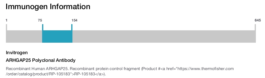 ARHGAP25 Polyclonal Antibody