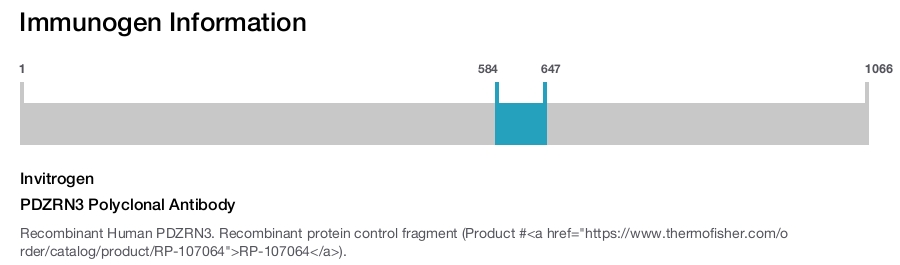 PDZRN3 Polyclonal Antibody