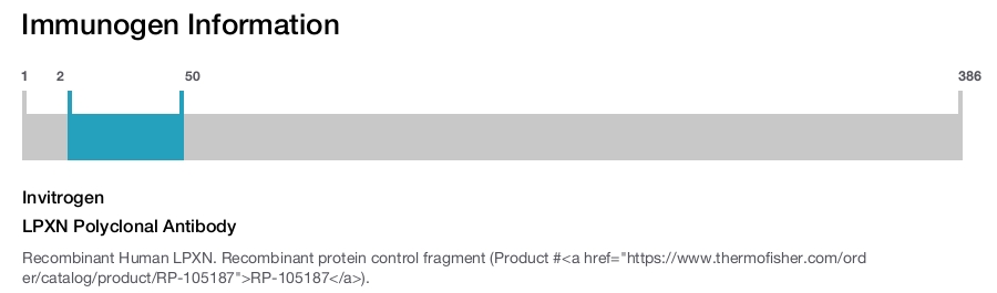 LPXN Polyclonal Antibody