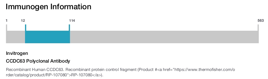 CCDC63 Polyclonal Antibody