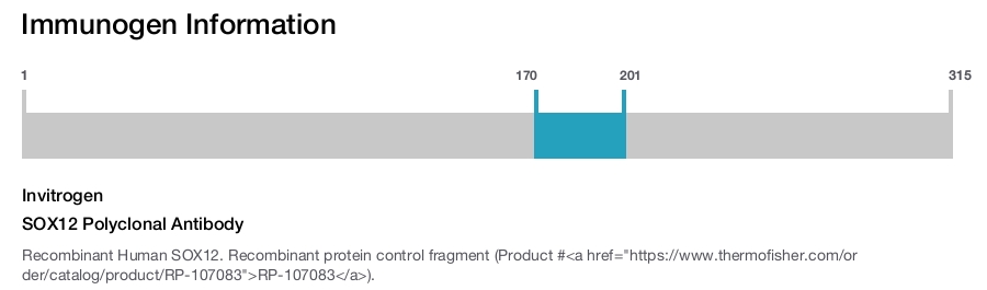 SOX12 Polyclonal Antibody