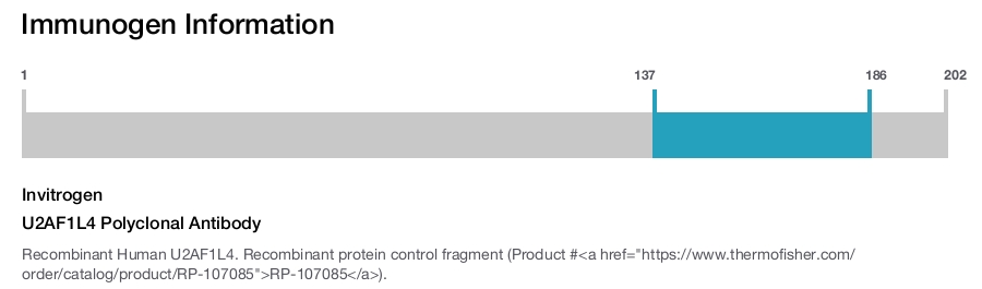 U2AF1L4 Polyclonal Antibody