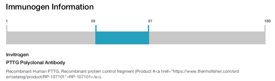 PTTG Polyclonal Antibody