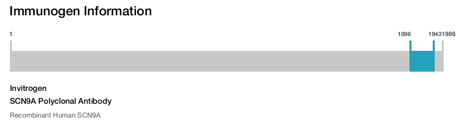 SCN9A Polyclonal Antibody