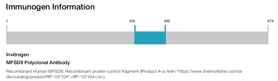 MFSD9 Polyclonal Antibody