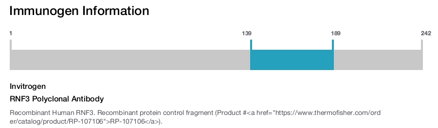 RNF3 Polyclonal Antibody