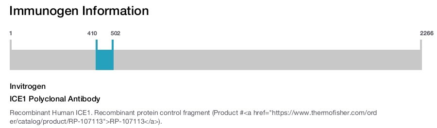 ICE1 Polyclonal Antibody