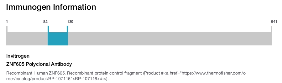 ZNF605 Polyclonal Antibody