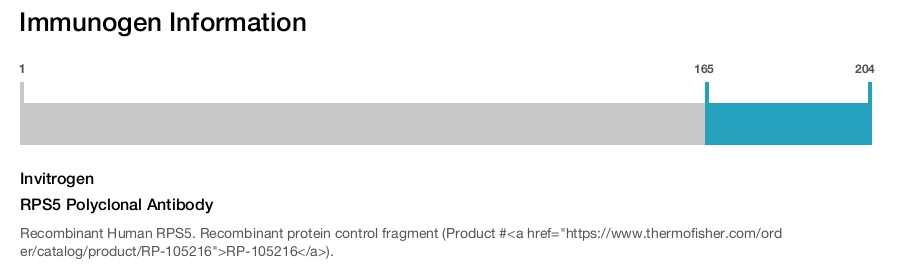 RPS5 Polyclonal Antibody