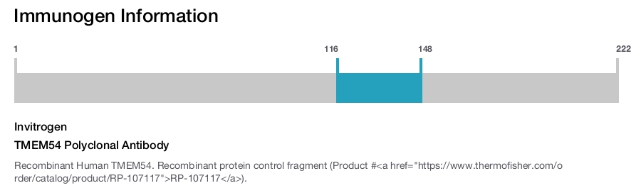 TMEM54 Polyclonal Antibody