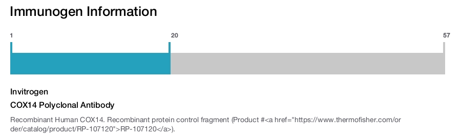 COX14 Polyclonal Antibody