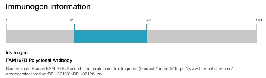 FAM167B Polyclonal Antibody