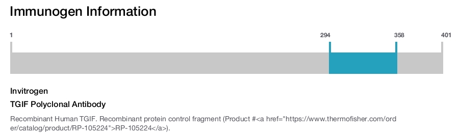 TGIF Polyclonal Antibody