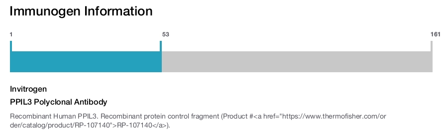 PPIL3 Polyclonal Antibody