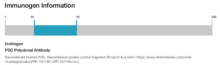 PDC Polyclonal Antibody
