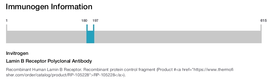 Lamin B Receptor Polyclonal Antibody