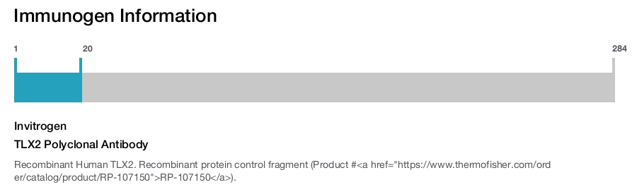 TLX2 Polyclonal Antibody
