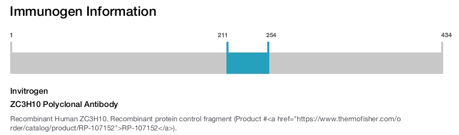 ZC3H10 Polyclonal Antibody