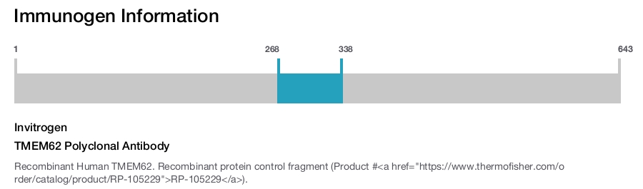 TMEM62 Polyclonal Antibody