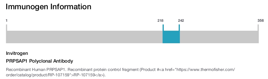 PRPSAP1 Polyclonal Antibody