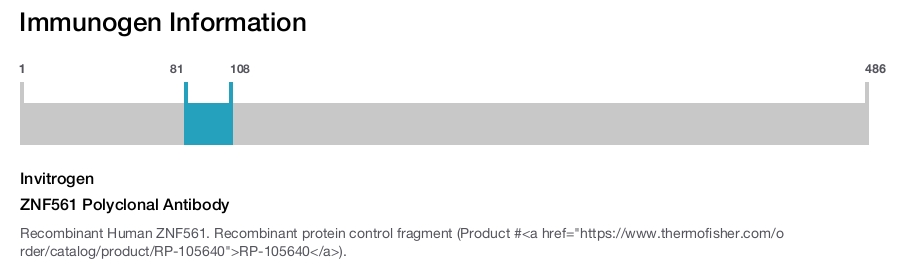 ZNF561 Polyclonal Antibody