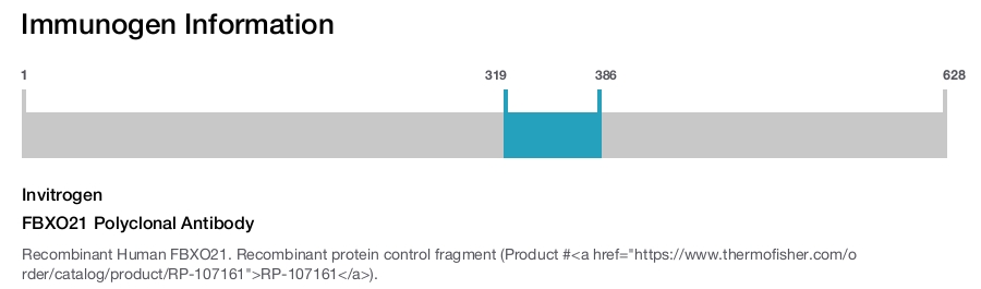 FBXO21 Polyclonal Antibody