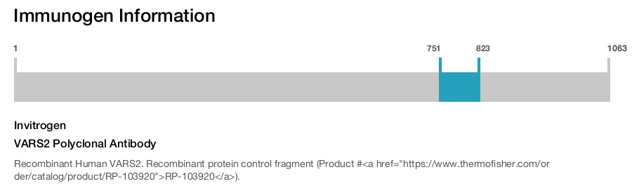 VARS2 Polyclonal Antibody