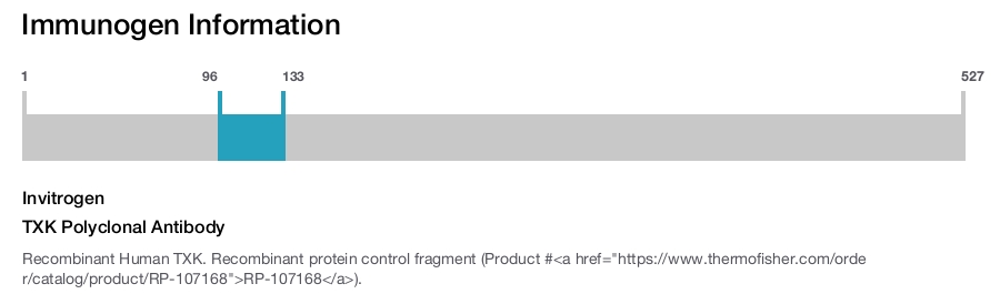 TXK Polyclonal Antibody