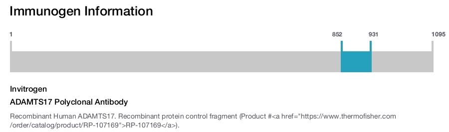 ADAMTS17 Polyclonal Antibody
