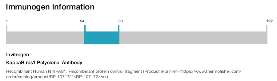 KappaB ras1 Polyclonal Antibody