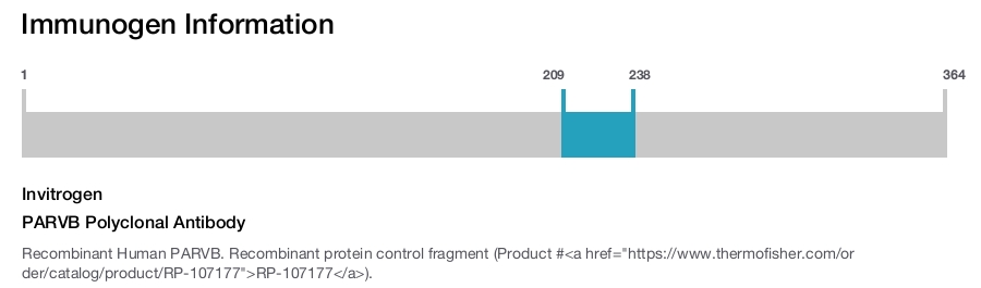 PARVB Polyclonal Antibody