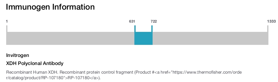 XDH Polyclonal Antibody